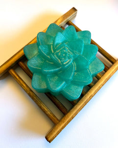 Succulent Soap - Kinsey's Candles