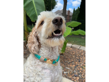 Load image into Gallery viewer, Infinity Braid in Teal &amp; Light Tan - Handmade Dog Collar