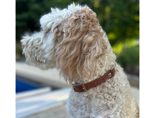 Load image into Gallery viewer, Fishtail Hand Braided Dog Collar in Tan &amp; Cream