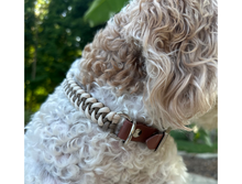 Load image into Gallery viewer, Fishtail Hand Braided Dog Collar in Tan &amp; Cream