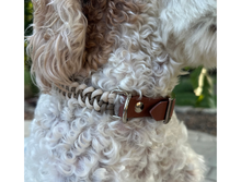 Load image into Gallery viewer, Fishtail Hand Braided Dog Collar in Tan &amp; Cream