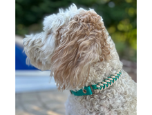 Load image into Gallery viewer, Fishtail Hand Braided Dog Collar in Teal &amp; Cream
