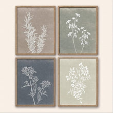 Load image into Gallery viewer, Framed Botanical Print Wall Art Set of 4